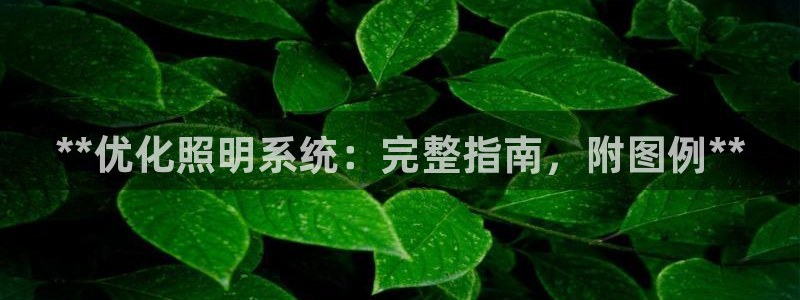 **优化照明系统:完整指南,附图例**