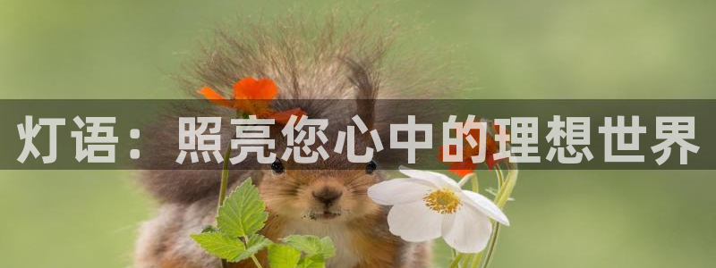 灯语:照亮您心中的理想世界