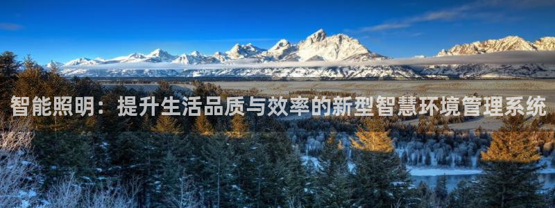 智能照明:提升生活品质与效率的新型智慧环